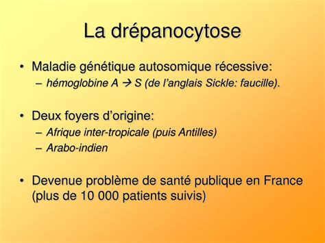 PPT La drépanocytose PowerPoint Presentation free download ID 5427177