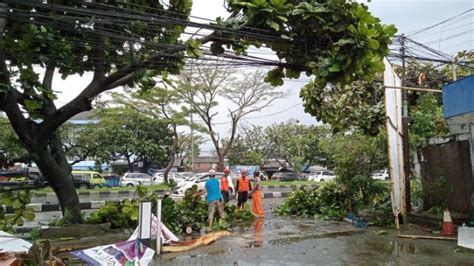 Sejumlah Pohon Tumbang Akibat Hujan Deras Disertai Angin Kencang