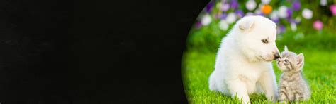 Деликатес Дичь - Дико вкусный интернет-магазин