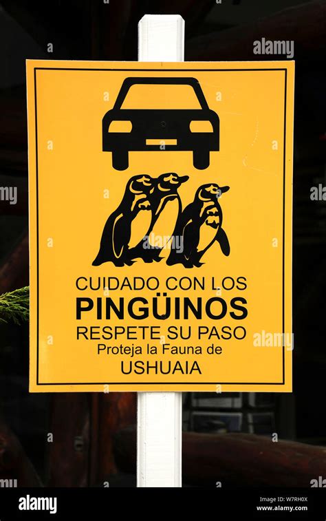 Penguin Road Crossing Sign Hi Res Stock Photography And Images Alamy