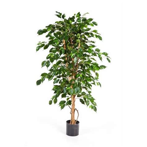 Ficus Exotica Artificiel En Pot 1375 Feuilles Vert 180 Cm Ficus