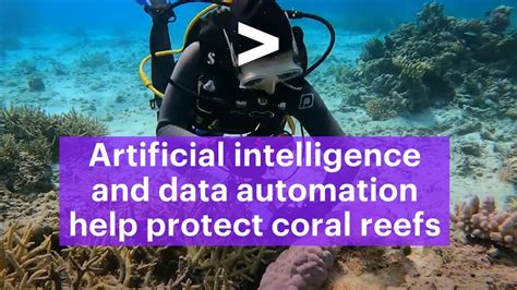 Artificial Intelligence And Data Automation Help Protect Coral Reefs