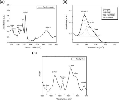 Specific Detection Of Uropathogenic Escherichia Coli Via Fourier Transform Infrared Spectroscopy