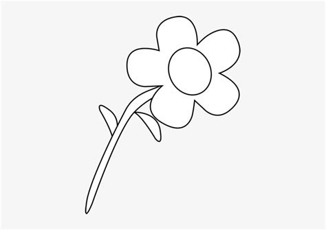 Flower Outline Free Mycutegraphics Clipart - Flower Black & White ...