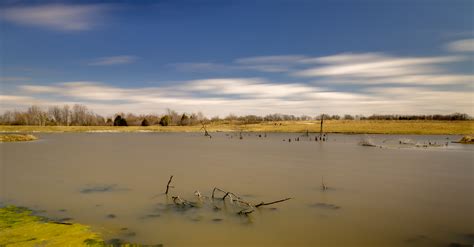 The hidden beach spots at lake st louis mo for families 13