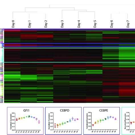 Tf Binding Motif Enrichment Clusters Are Of Tf Binding Motif