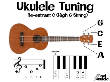 What are the notes on a ukulele tuning fretboard notes on staff etc ...