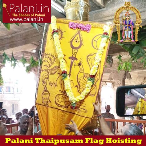 Thaipusam Festival 2025 – palani