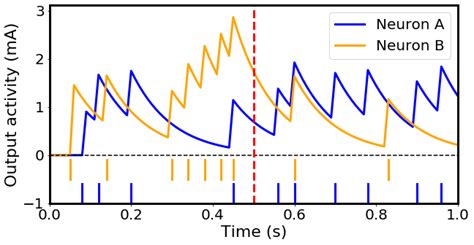 3 Filtered Activity From Arbitrary Spike Trains From Two Neurons Both