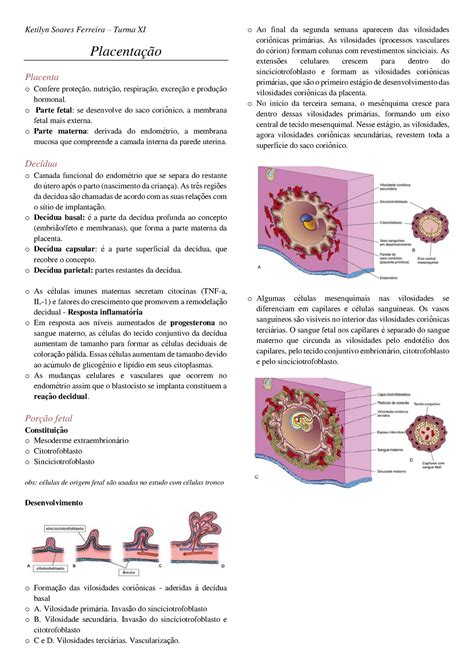 Embriologia Placentação Ketilyn Soares Ferreira Turma XI