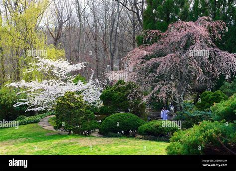 WASHINGTON DC 26 MAR 2022 View Of The Hillwood Estate Museum And