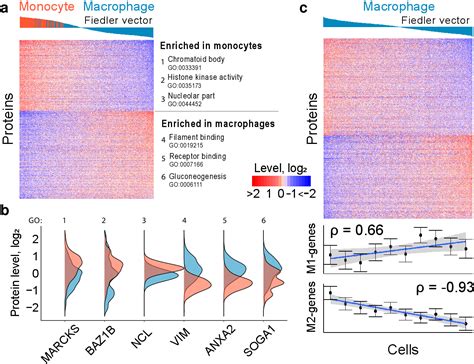 Figure 1 From Single Cell Mass Spectrometry Quantifies The Emergence Of Macrophage Heterogeneity