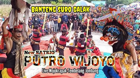 Banteng Suro Mberot New Satrio Wijoyo Putro Terbaru Live Tembelang