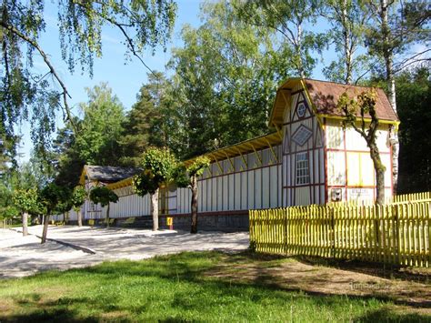 Koupaliště Dachova