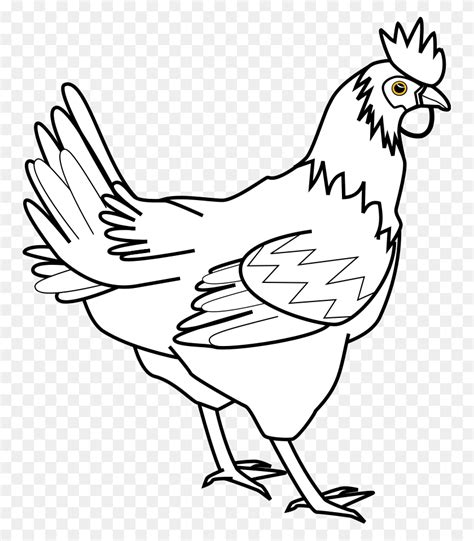 Chicken Head Clipart Black And White Walnut Clipart Flyclipart