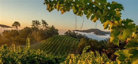 Most Beautiful Wineries In Napa Valley WineCountry