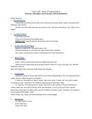 HLSC3000 T P C Worksheet Docx HLSC 3000 Ethics Professionalism