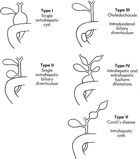 The Pediatric Liver And Spleen Clinical Tree