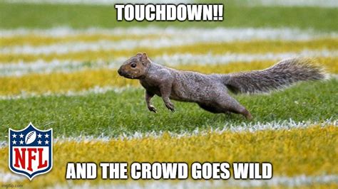 Image Tagged In Squirrel Touchdown Football Squirrel Raw Skill Imgflip