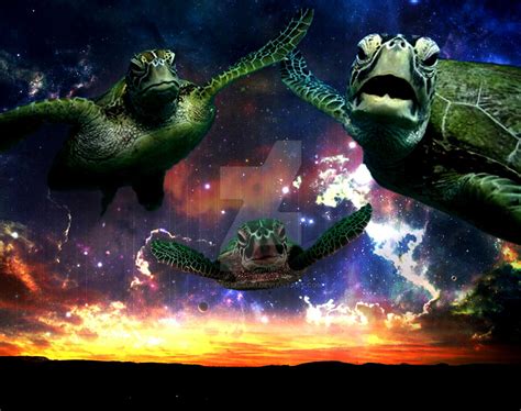 Flying Turtles By Kimikoshibuki On Deviantart