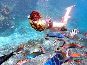 Promo D N Redang Sari Pacifica Resort Snorkeling Package