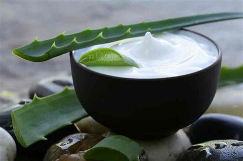 Cómo Hacer Una Crema De Aloe Vera ¡guía Paso A Paso