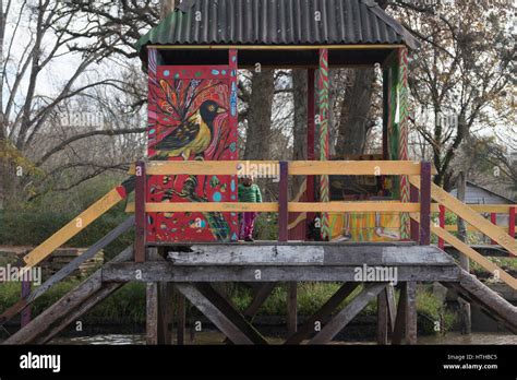 Tigre Buenos Aires State Argentina Wooden Dock Seen From