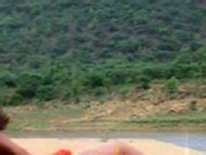 Kimi Katkar nude pics página