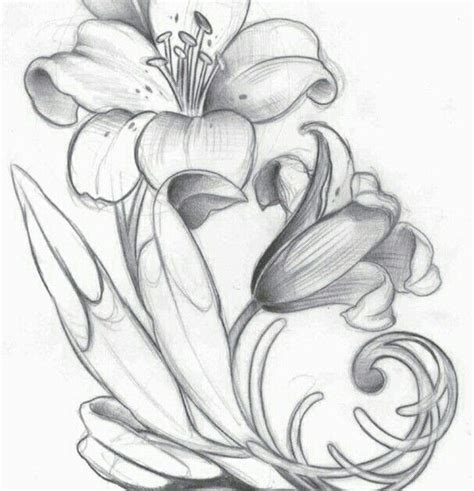 Dibujos Para Dibujar A Lapiz De Flores 磊 Dibujos De Rosas【190】lindas Y A Lápiz