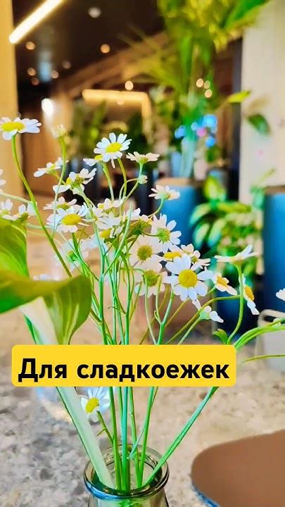 ДЛЯ СЛАДКОЕЖЕК🍨#одиндень#отдых#шортс#катя#еда#travel #горныйалтай # ...