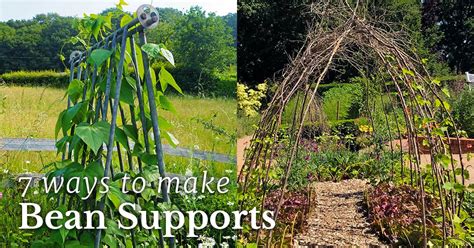 Diy Pole Bean Trellis