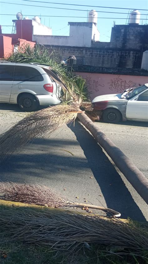 Así afectaron los fuertes vientos en Xalapa Fotos Último en Noticias