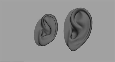 Ear 3d Model 3d Model Cgtrader