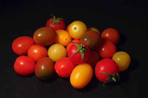 Woher Kommt Unser Obst Und Gem Se Eine Einf Hrung F R Grundsch Ler