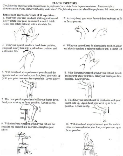 8 Images Seated Theraband Exercises For Seniors And Review Alqu Blog