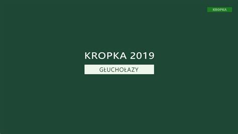 KROPKA 2019 SOBOTA Centrum Kultury w Głuchołazach transmisja na