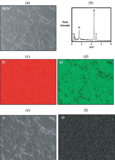 SEM EDS Analysis Of Bulk Ti 6Al 4V Alloy A SEM Image Depicting