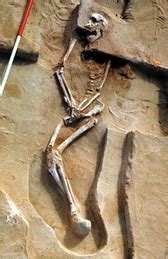 10 Oldest Human Skeletons in the World - Oldest.org