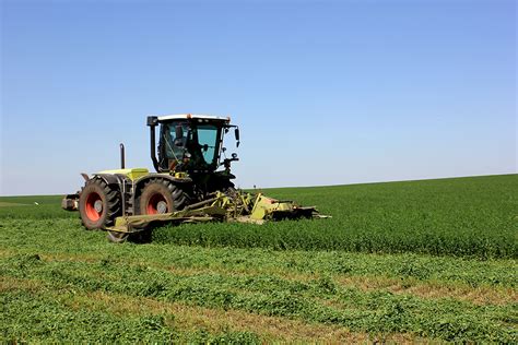 Harvesting Of High Quality Haylage From Alfalfa In Natural Conditions