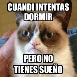 Meme Grumpy Cat Cuandi Intentas Dormir Pero No Tienes Sue O