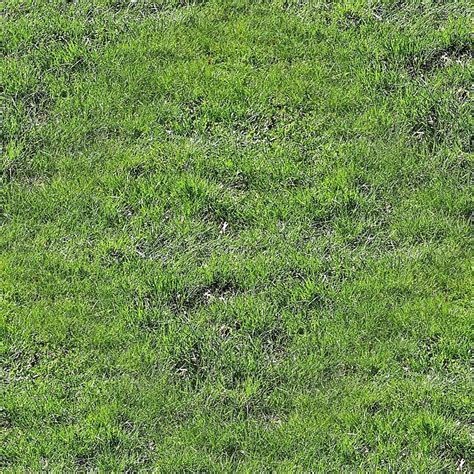 Highresolution Seamless Grass Texture With Photorealistic Details And