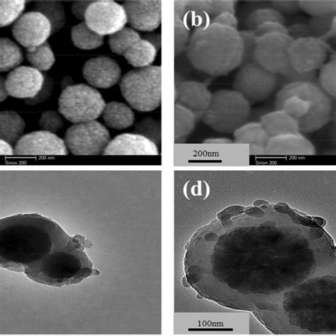 A Sem Images Of Fe O Sio Ilnps B Ft Ir Spectra Of A Bare Fe O Nps