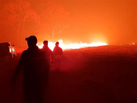 Setembro J O M S Maior N Mero De Focos De Inc Ndio No Pantanal