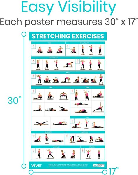 Flexibility Exercises Chart