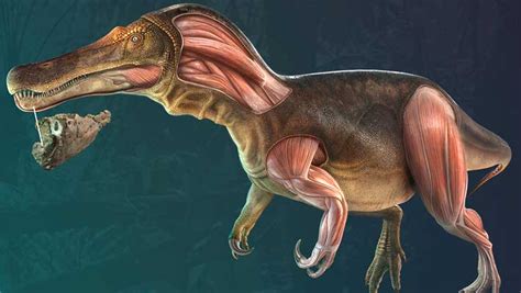 New Spinosaurid Dinosaur Unearthed In Portugal Sci News