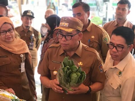 Optimalisasi Ketahanan Pangan Di PPU Jelang IKN Makmur Marbun Tekankan