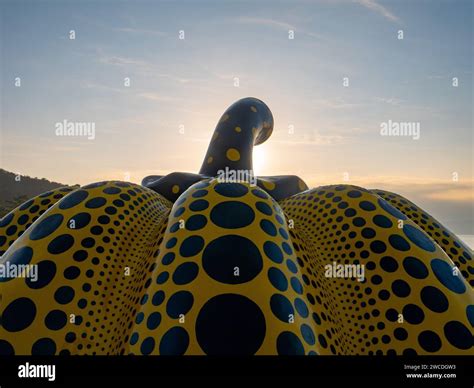 Close Up Of Yellow Pumpkin By Artist Yayoi Kusama Outside The Benesse