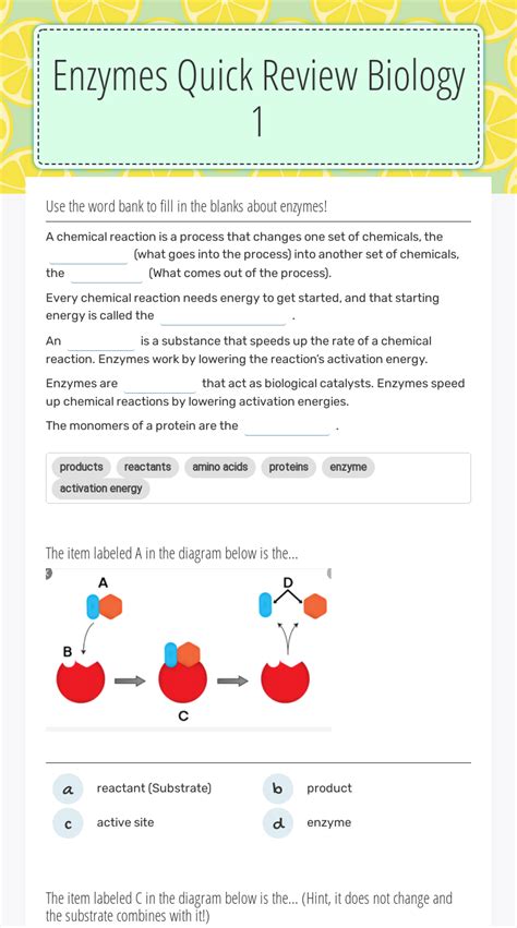 42 Enzyme Worksheet Biology Answers Worksheet Master