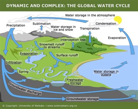 New Diagrams Explain How Humans Affect Water Cycle Dailyexcelsior