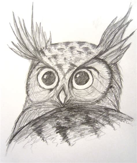 Collection 98 Pictures How To Draw An Owl In A Tree Sharp